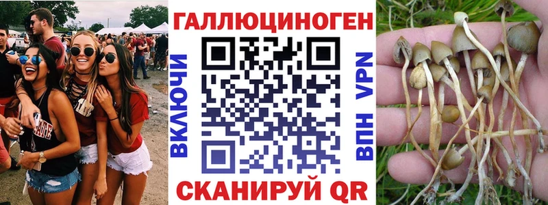 купить наркотики цена  Александровск-Сахалинский  Псилоцибиновые грибы ЛСД 